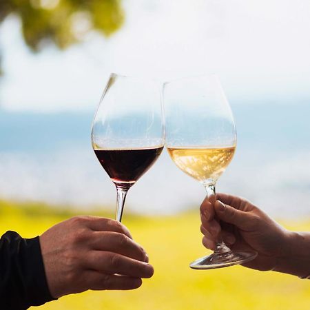 Altos De La Vina, Wine Hotel & Spa Сан-Сальвадор-де-Жужуй Экстерьер фото