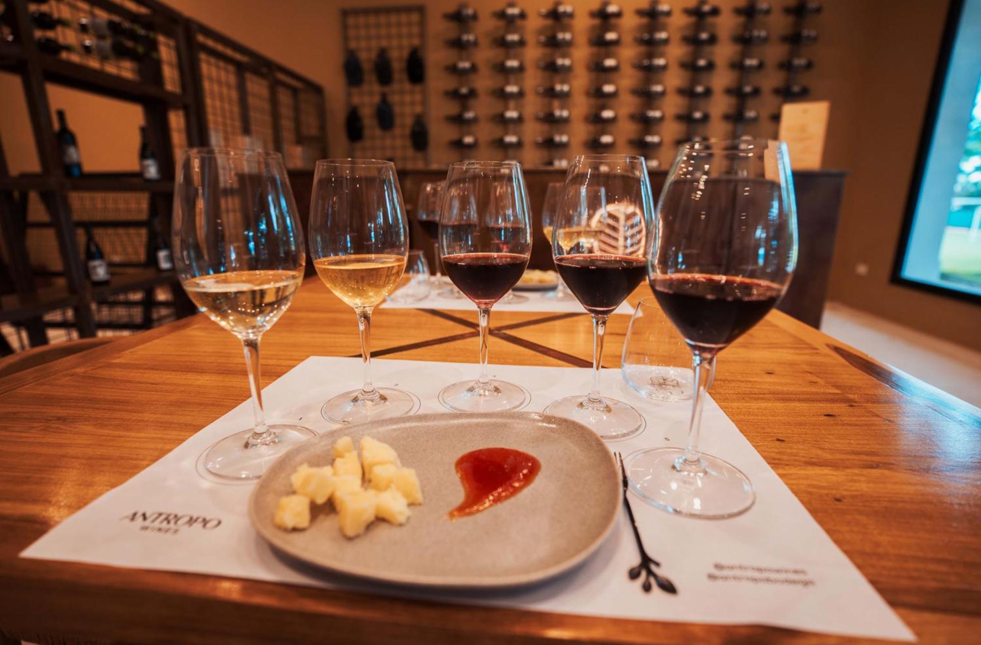 Altos De La Vina, Wine Hotel & Spa Сан-Сальвадор-де-Жужуй Экстерьер фото